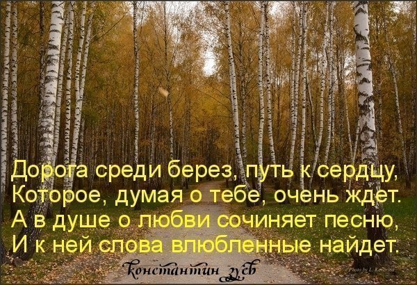 Песня среди берез. Путин среди берез. Кот среди берёз пожелания. Путин среди березок. Я не рос среди берез.