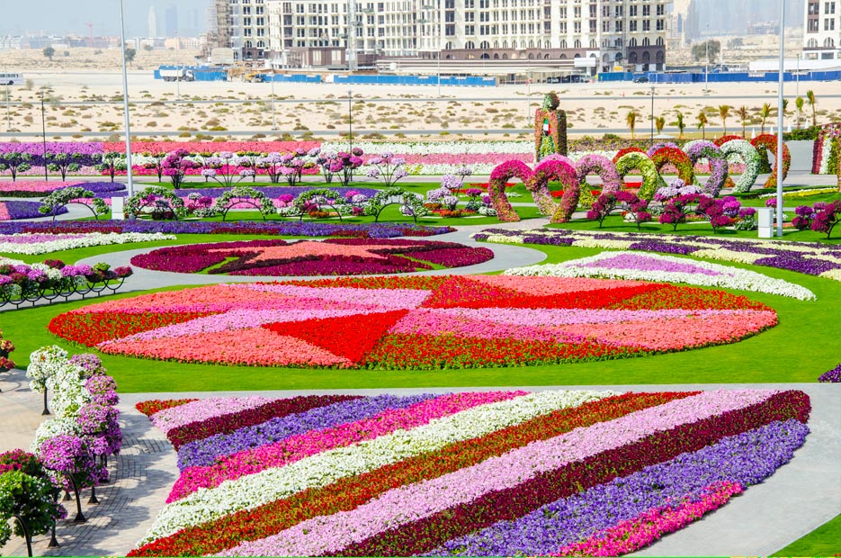 Парк цветов Dubai Miracle Garden